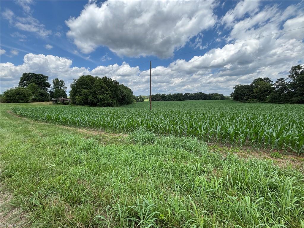 460 Greene Road Dobson, NC 27017 - Photo 12 of 49