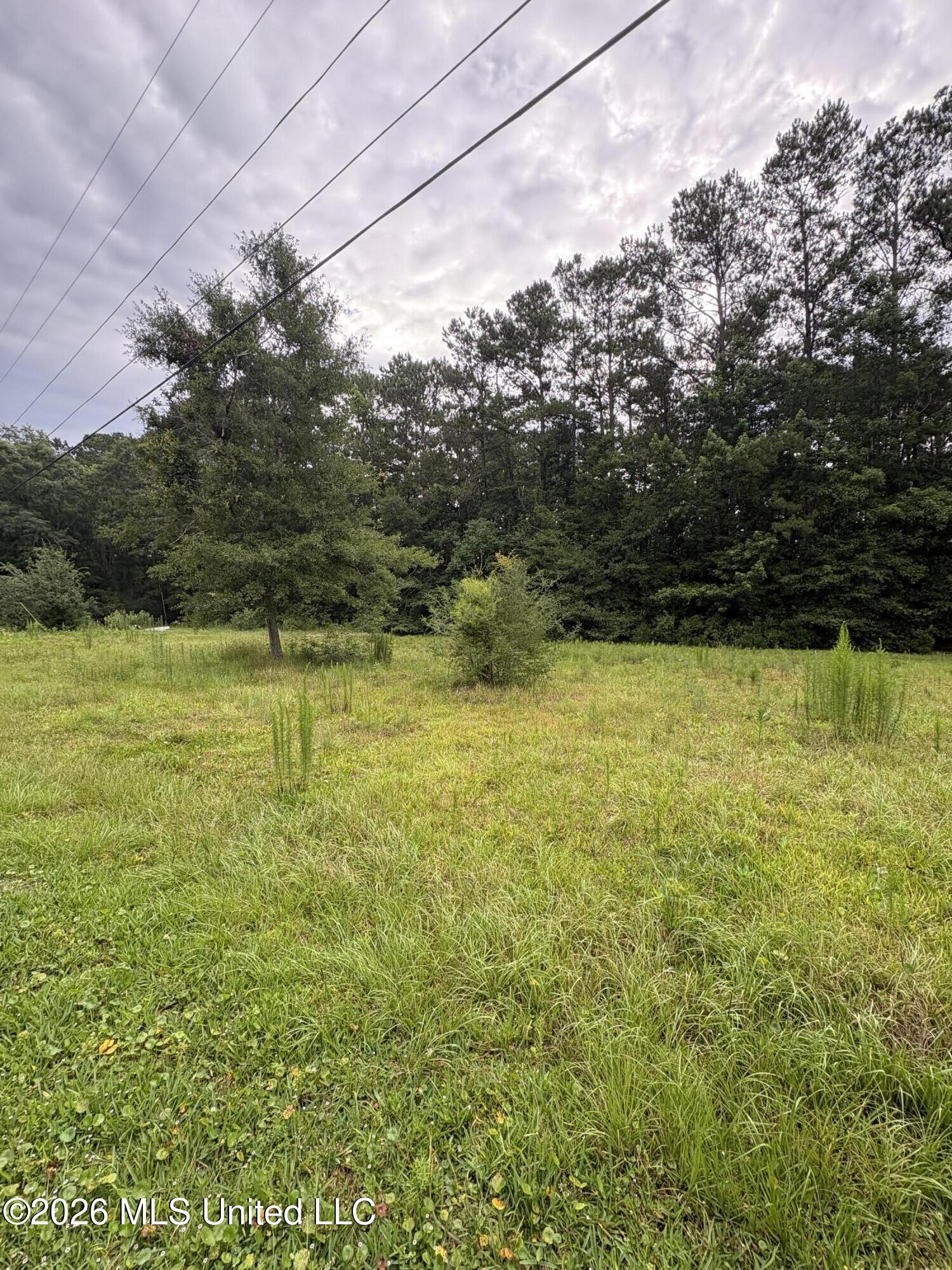 2517 Will Kibby Road Moss Point, MS 39562 - Photo 11 of 15 IMG_4454