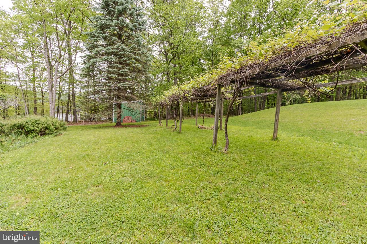 1834 Decker Hollow Road Tyrone, PA 16686 - Photo 12 of 40 a view of yard with tree