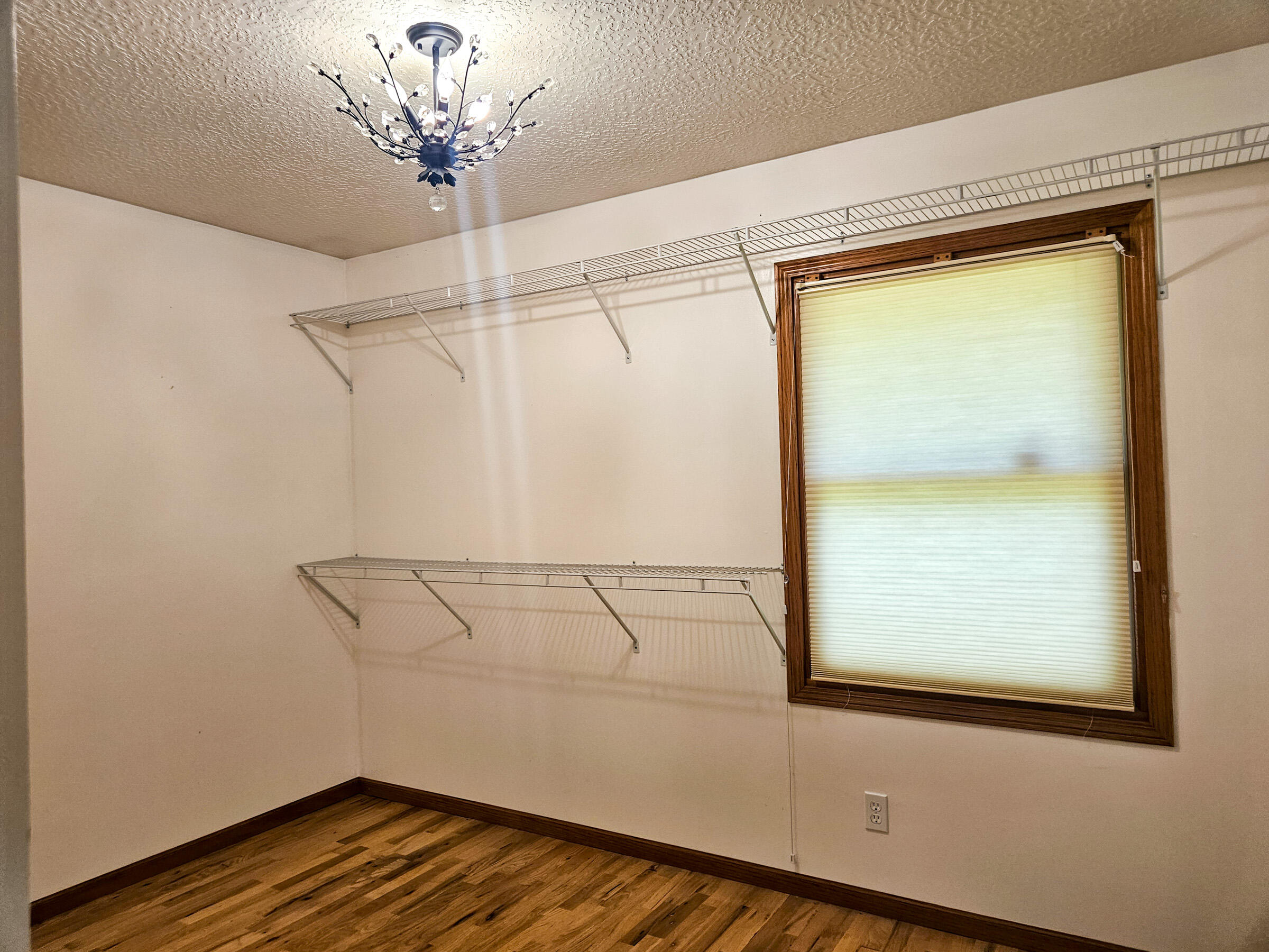 6689 Douglas Road Houston, MO 65483 - Photo 42 of 62 20260514_103039