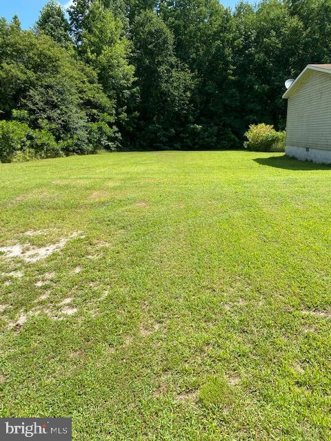 12577 Cemetery Road Ellendale, DE 19941 - Photo 4 of 5 Gallery Image 4