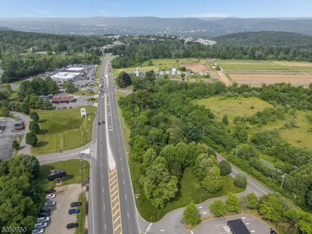 an aerial view of green landscape with trees houses and mountain view
