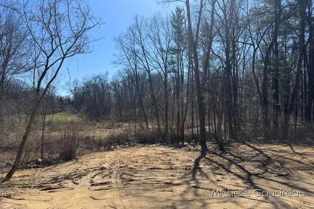 $715,000 | 1079 Arlington Street, Middleville, MI 49333