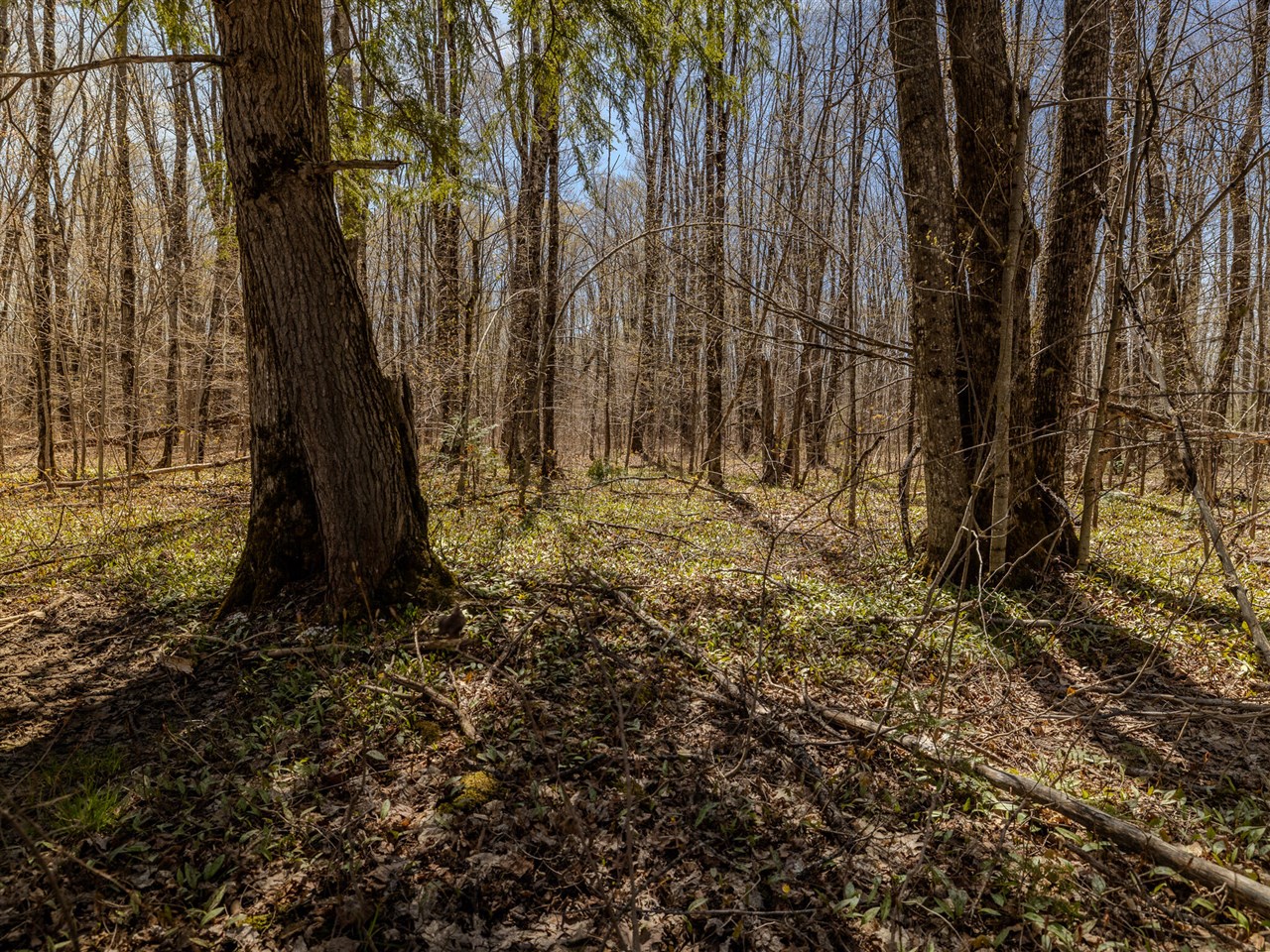 Lot 2 East Shore Road Bergland, MI 49910 - Photo 21 of 25