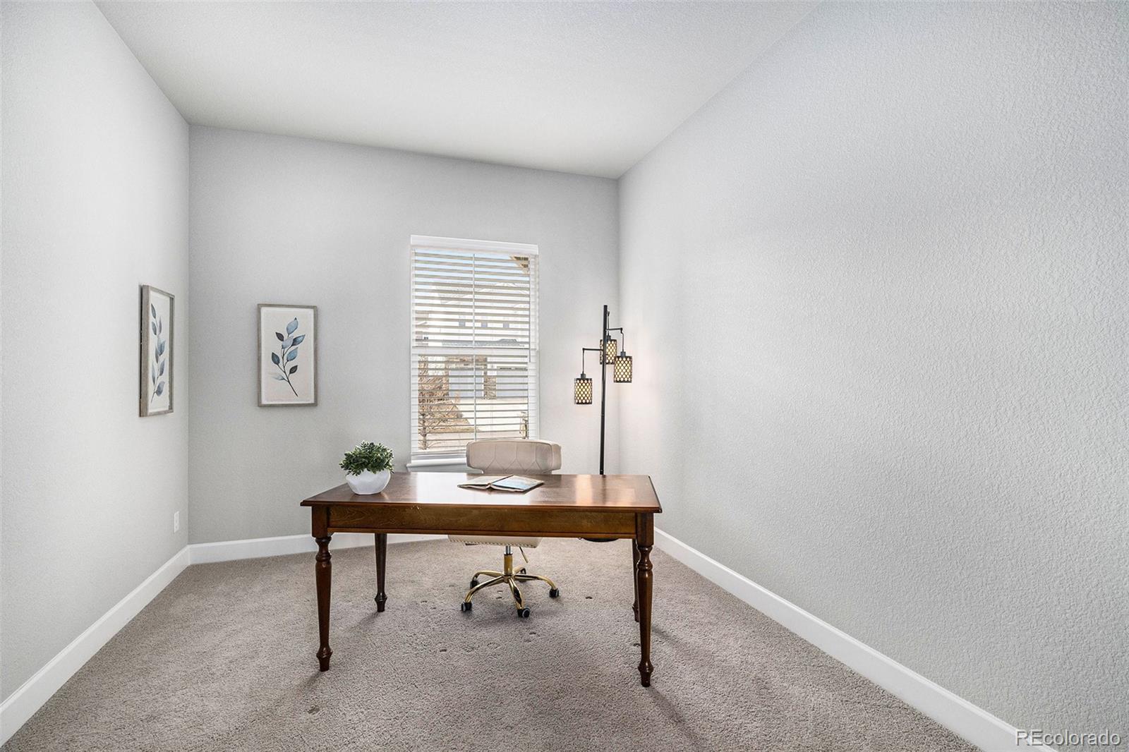 10114 Atlanta Street Parker, CO 80134 - Photo 17 of 42