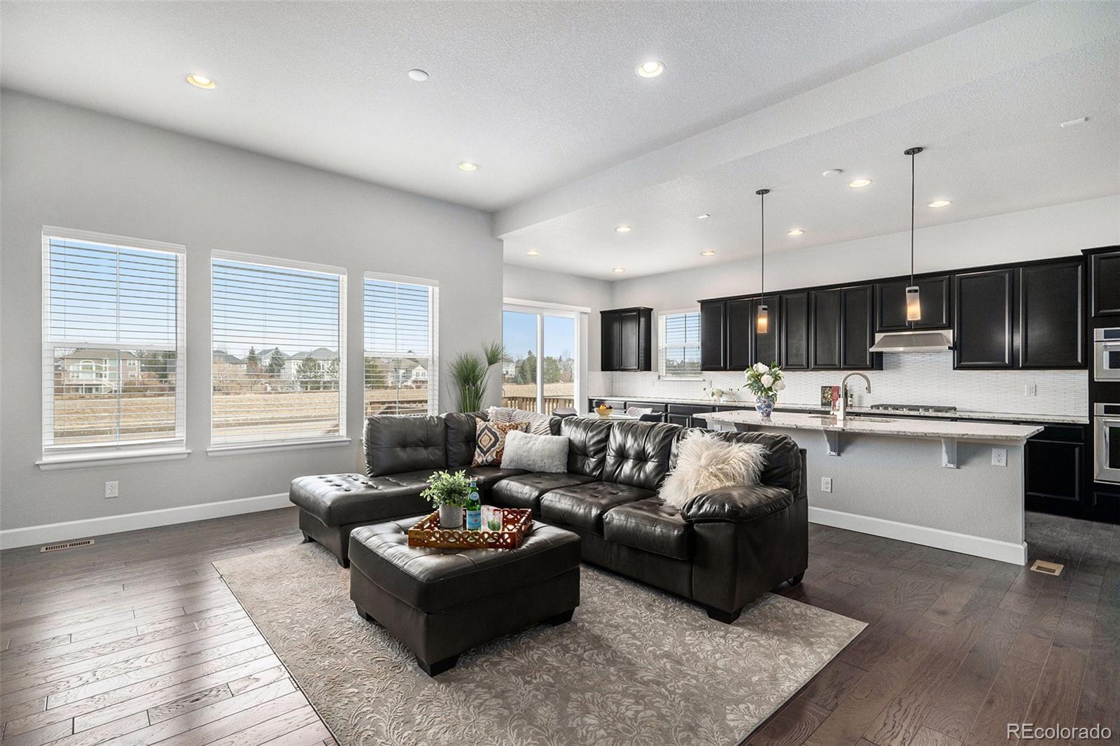 10114 Atlanta Street Parker, CO 80134 - Photo 4 of 42