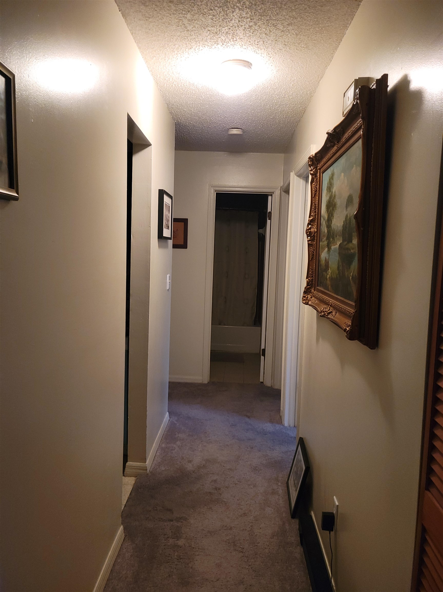 1000 South Winterhawk Drive, Unit D St. Augustine, FL 32086 - Photo 5 of 6 a view of hallway with hallway