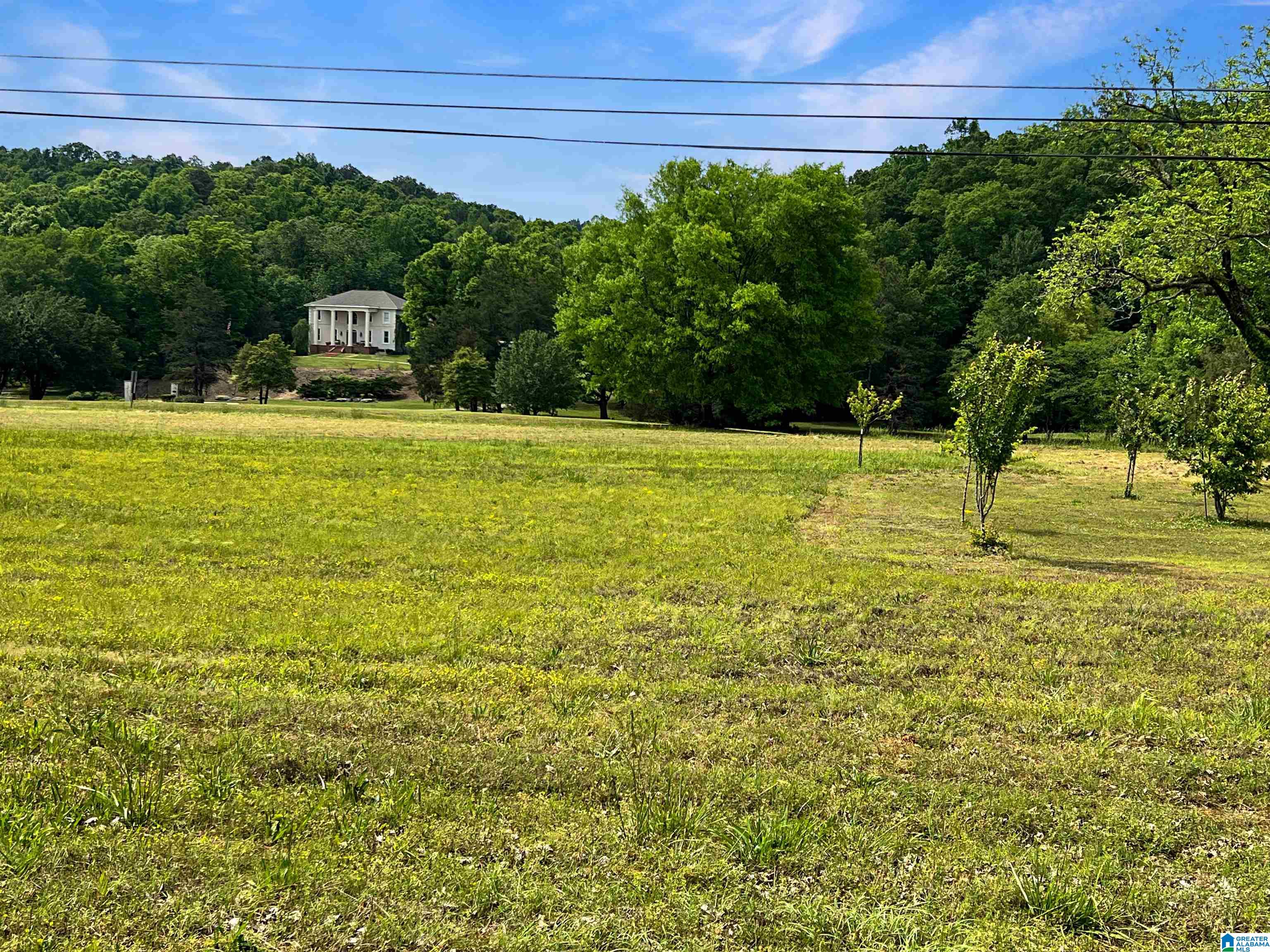 4694 Holly Grove Road Jasper, AL 35501 - Photo 10 of 42