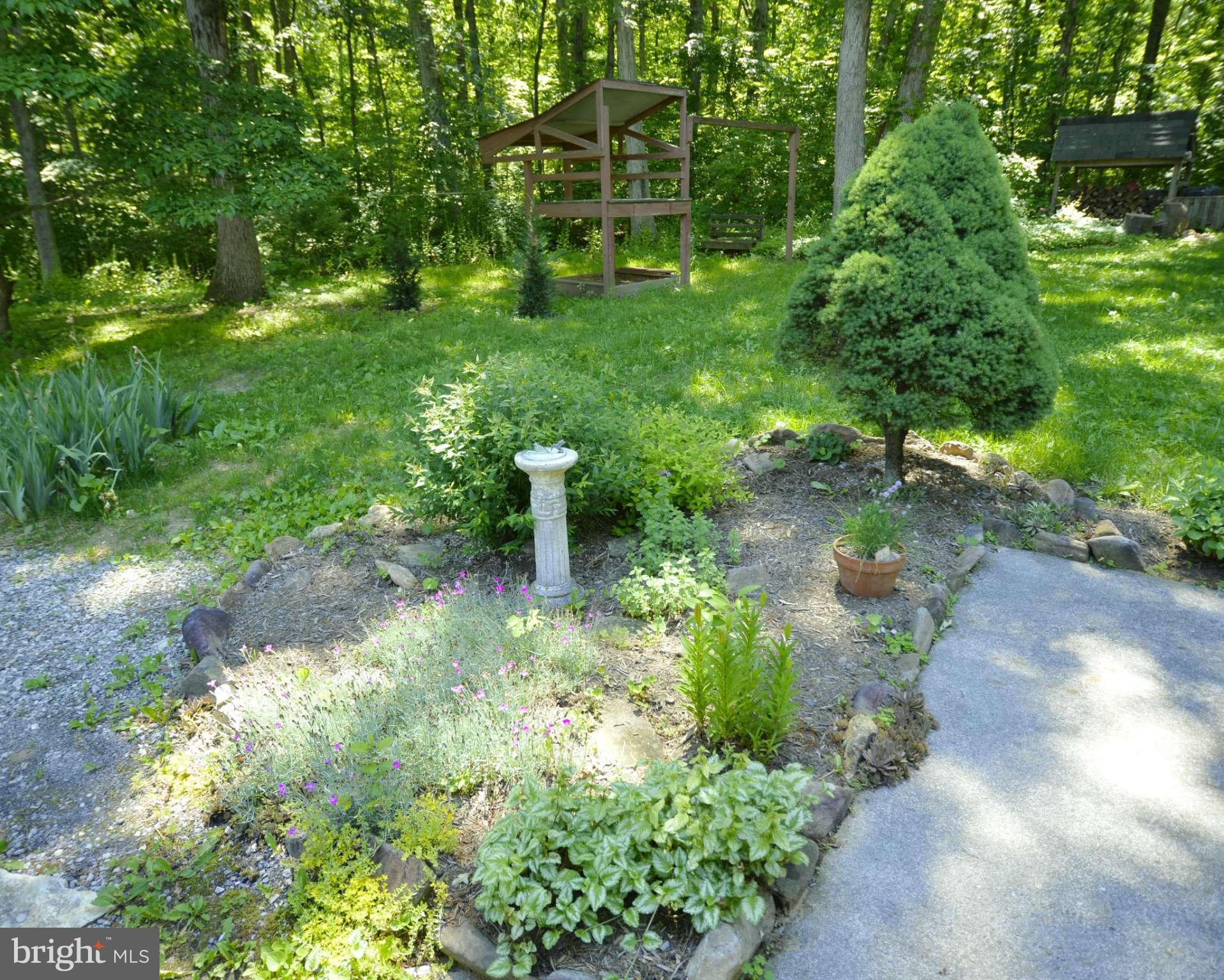 6446 Howellsville Road Front Royal, VA 22630 - Photo 8 of 30 a backyard of a house with lots of green space