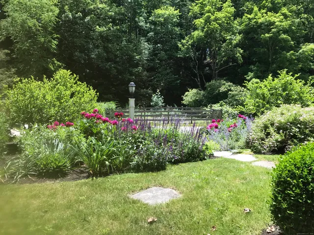 a view of a backyard with plants and large tree