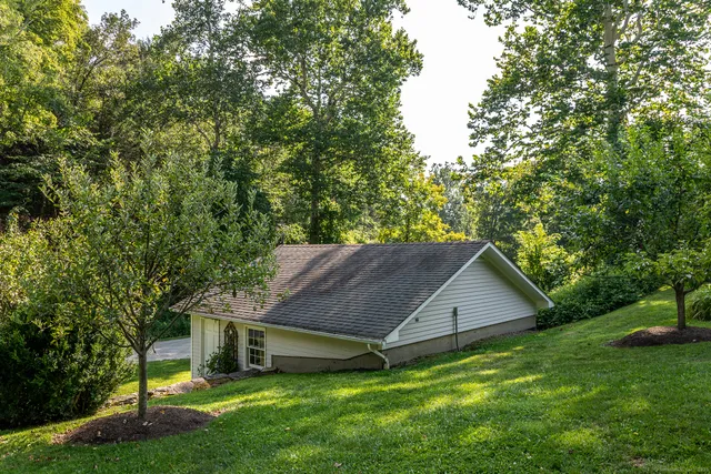 a view of an outdoor space and trees