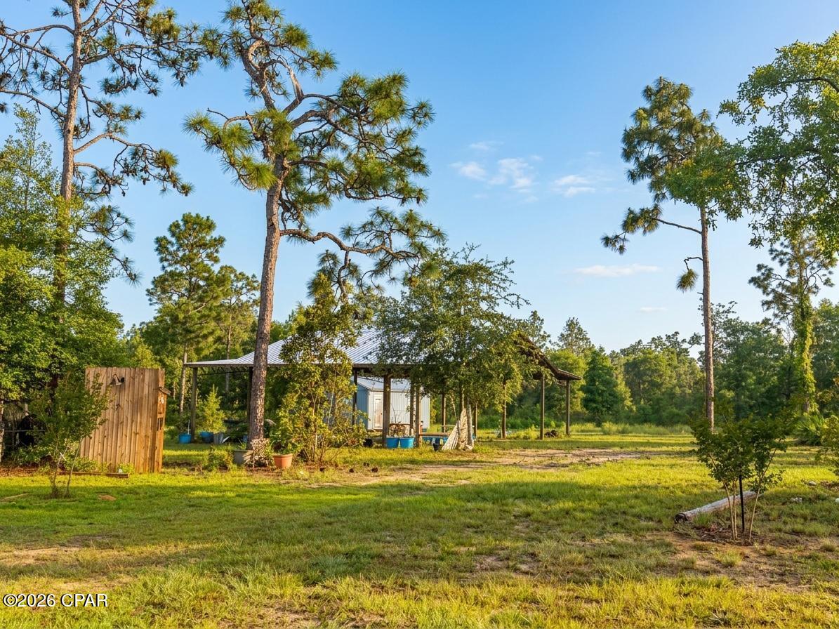 268 Horse Farm Road Marianna, FL 32448 - Photo 15 of 21