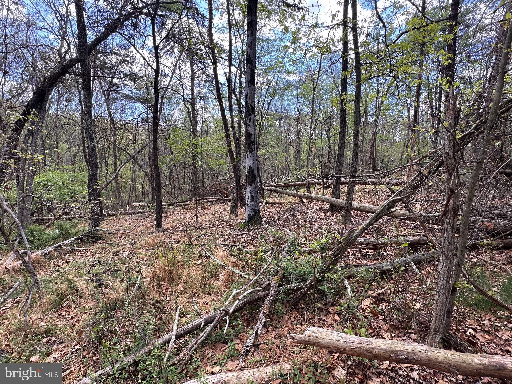 22.52-ac Winchester Grade Road Berkeley Springs, WV 25411 - Photo 4 of 15 Gallery Image 4