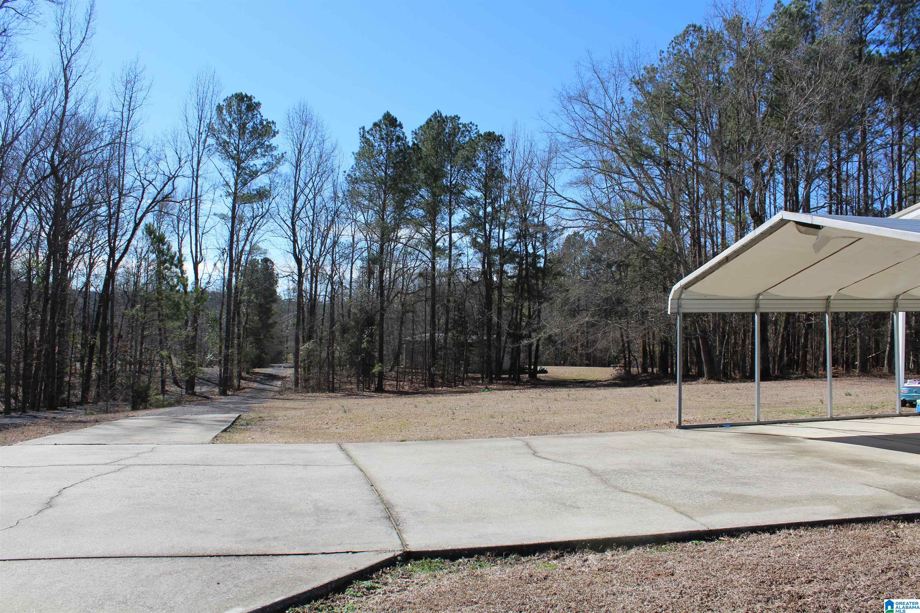 83 Brooks Road Ragland, AL 35131 - Photo 4 of 27