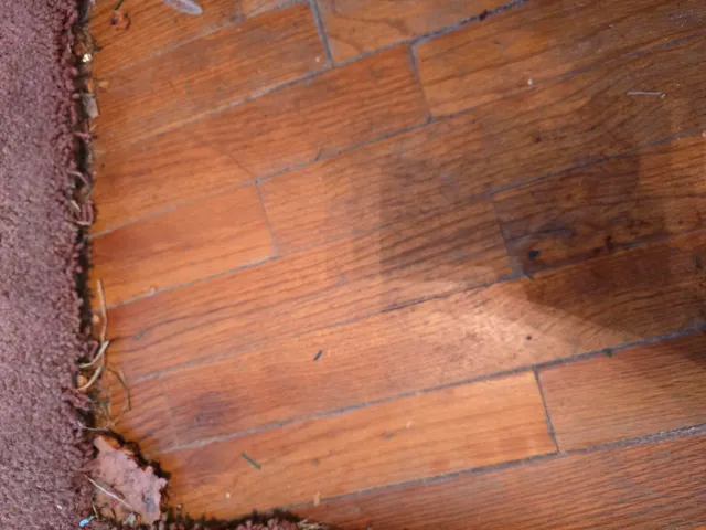 $149,990 | 544 Highland Avenue, Augusta, GA 30904