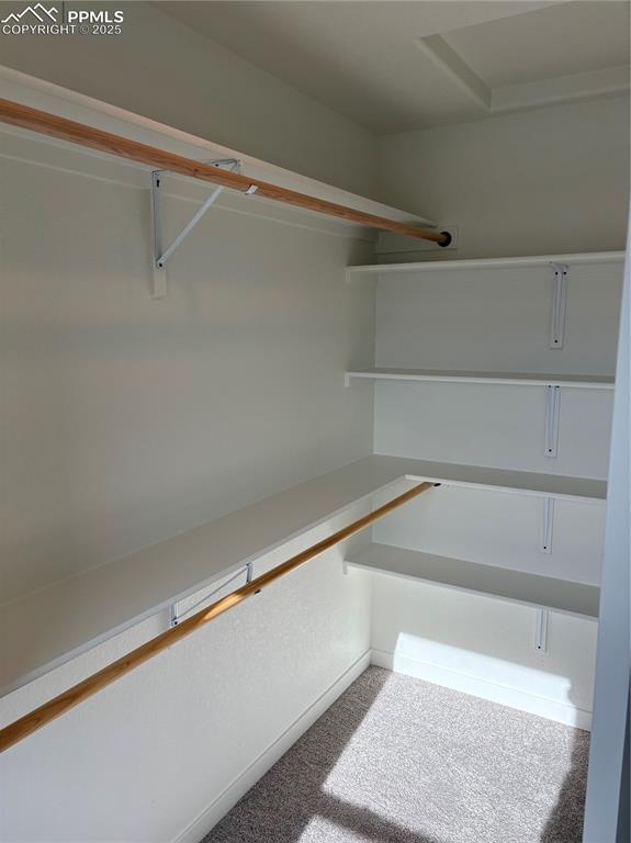 834 Keystone Loop Canon City, CO 81212 - Photo 10 of 14 a view of an empty walk in closet