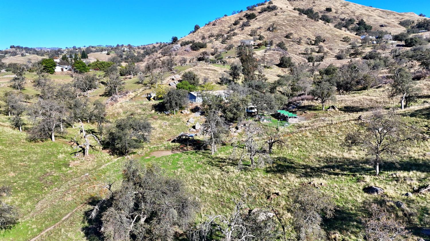 34045 George Smith Road Squaw Valley, CA 93675 - Photo 35 of 37 a view of a field with plants and trees
