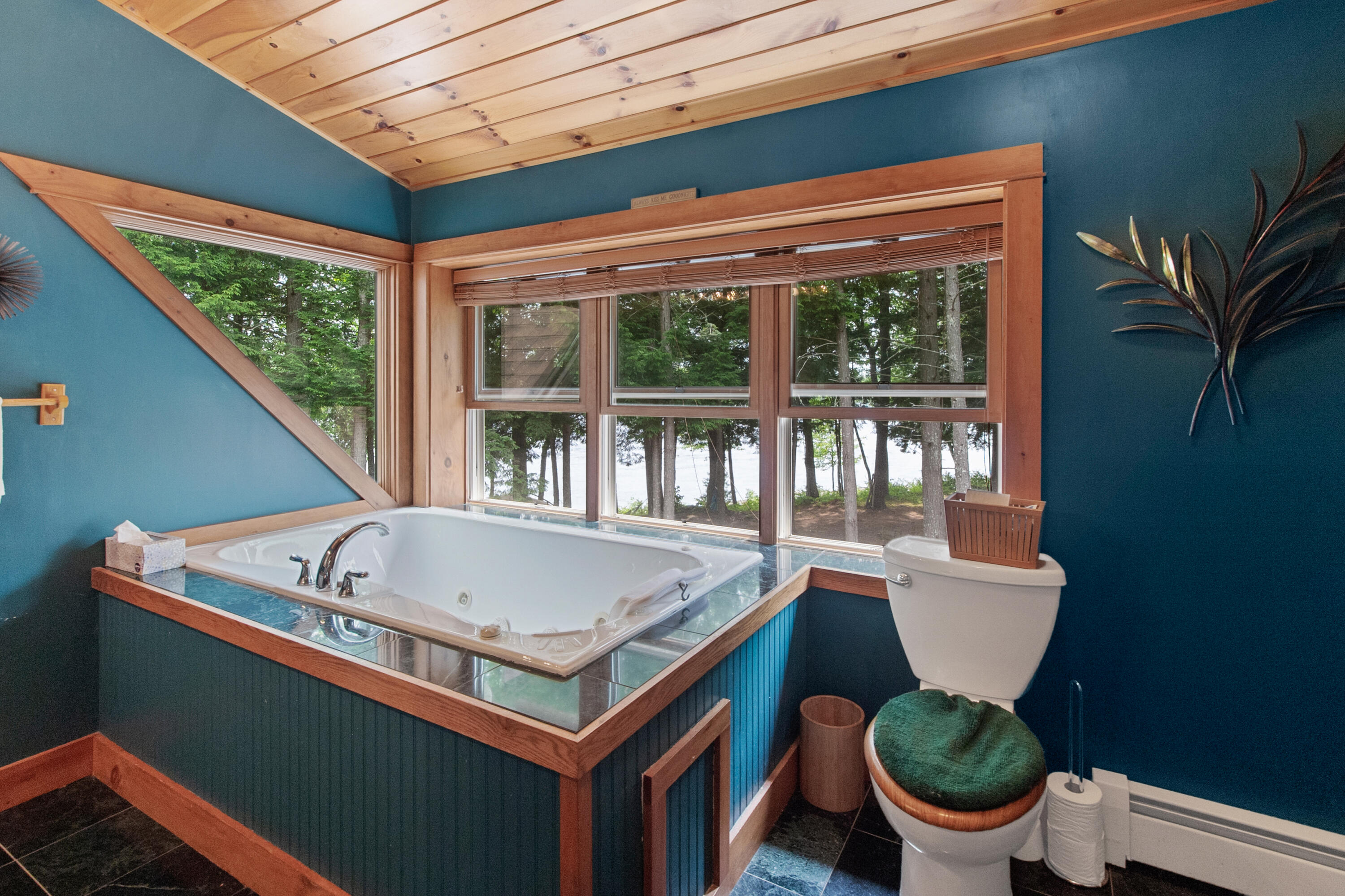 946 Edinburg Road Howland, ME 04448 - Photo 29 of 85 946 Edinburg Road_0110