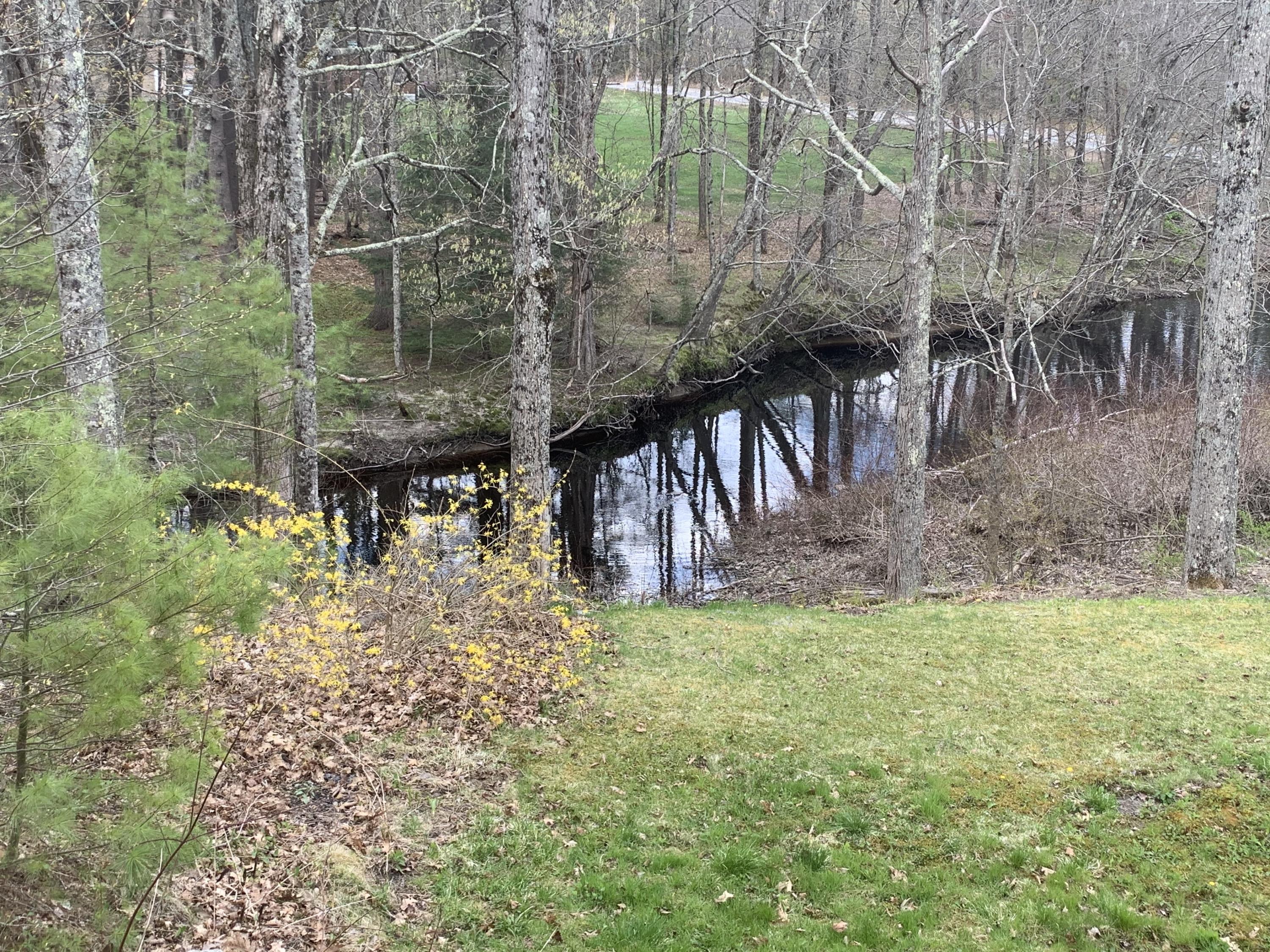 909 Branch Road Wells, ME 04090 - Photo 6 of 30 IMG_7148