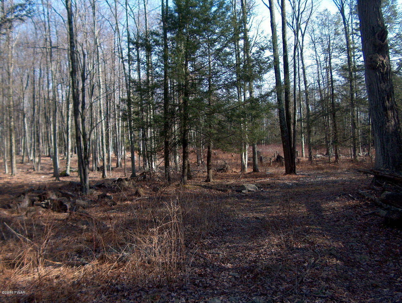 114 Phillips Road Newfoundland, PA 18445 - Photo 2 of 7