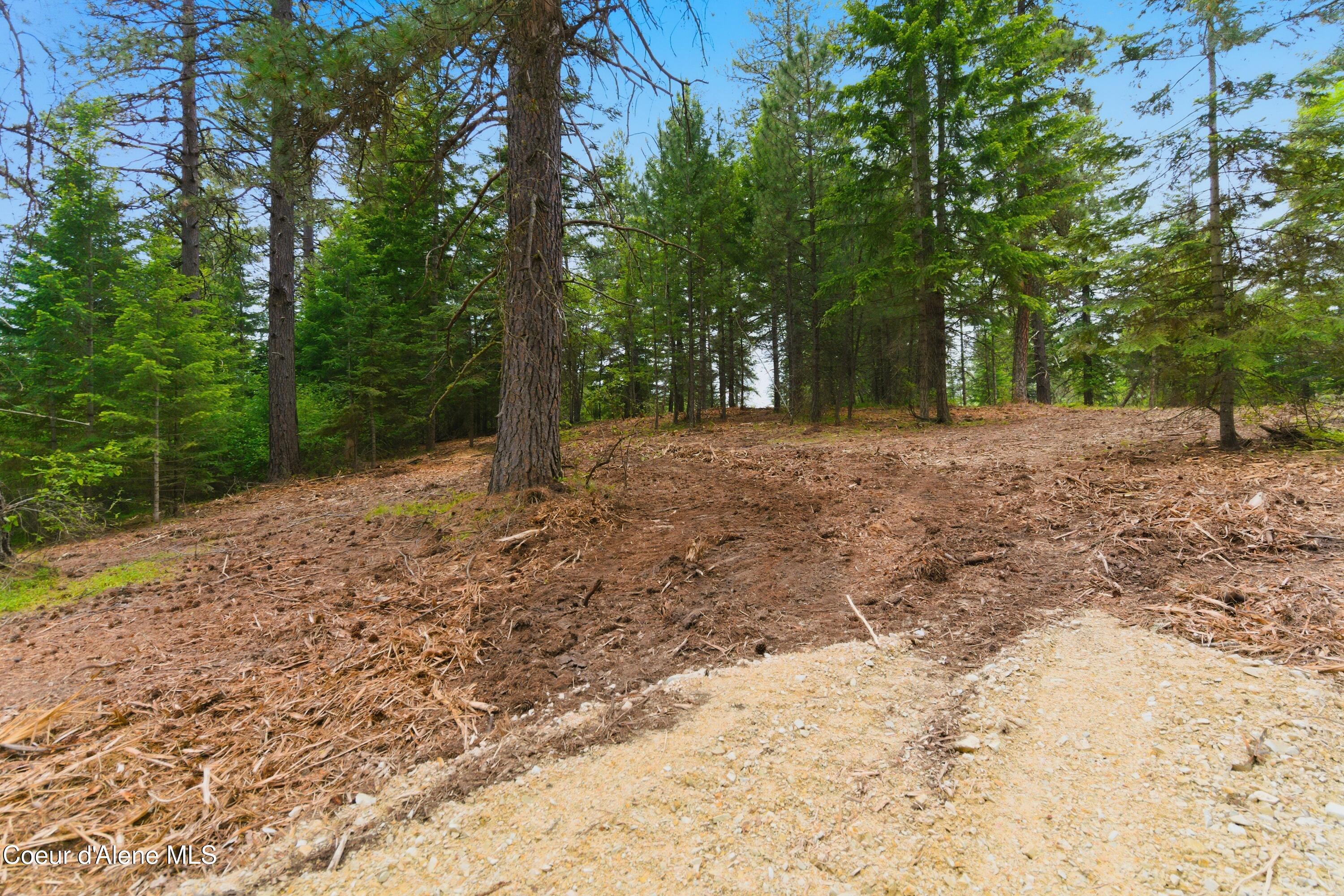 Parcel B South Dunlap Road Harrison, ID 83833 - Photo 11 of 19 12-Parcels A,B,C Dunlap Road_RedHogMedia