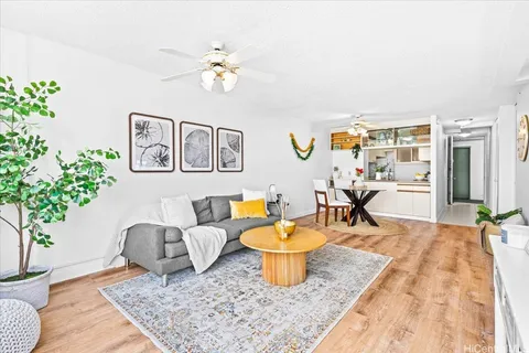 a living room with furniture and a potted plant