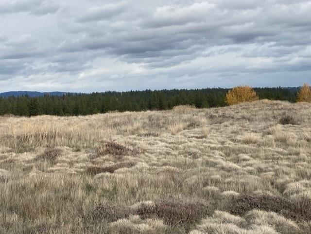 Xxxx West Mission Road Spokane, WA 99224 - Photo 2 of 6 Gallery Image 2