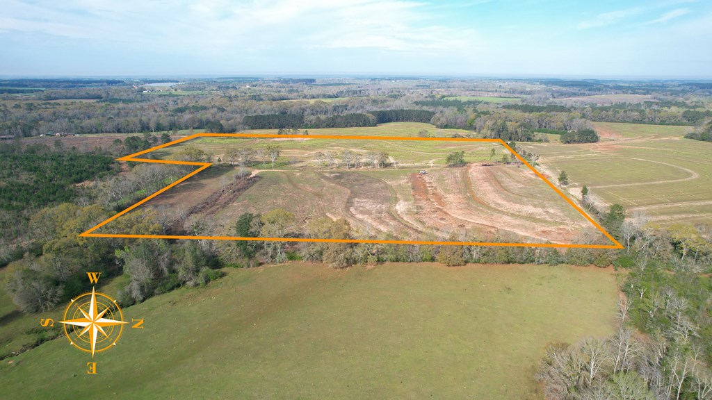 0 Travis Wise Road Samson, AL 36477 - Photo 3 of 21