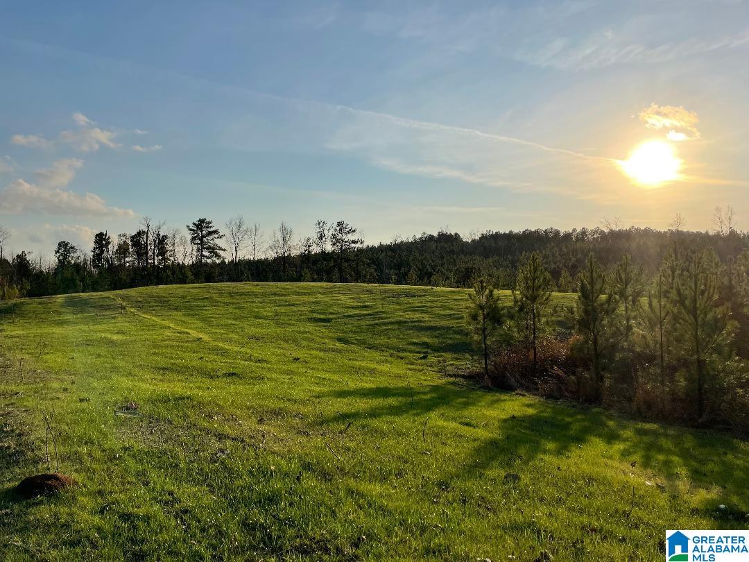 1538 Joinertown Road, Unit 2 Columbiana, AL 35051 - Photo 6 of 6
