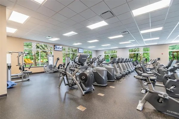 $3,600 | 18154 Sandy Pointe Drive, Tampa, FL 33647