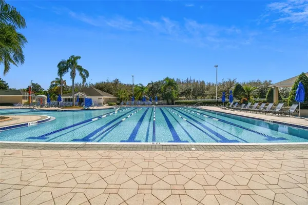 $3,600 | 18154 Sandy Pointe Drive, Tampa, FL 33647
