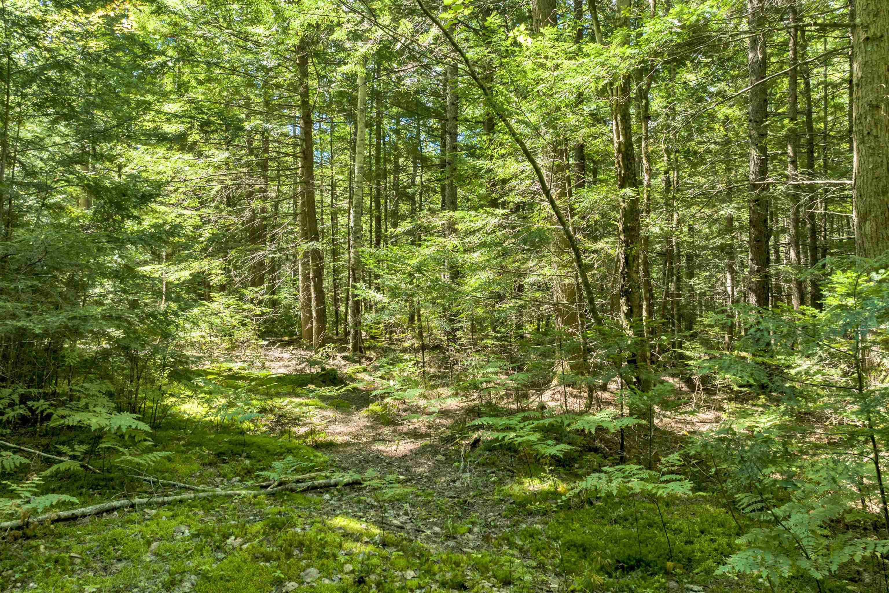 Wilkinson Swamp Road Effingham, NH 03882 - Photo 6 of 21