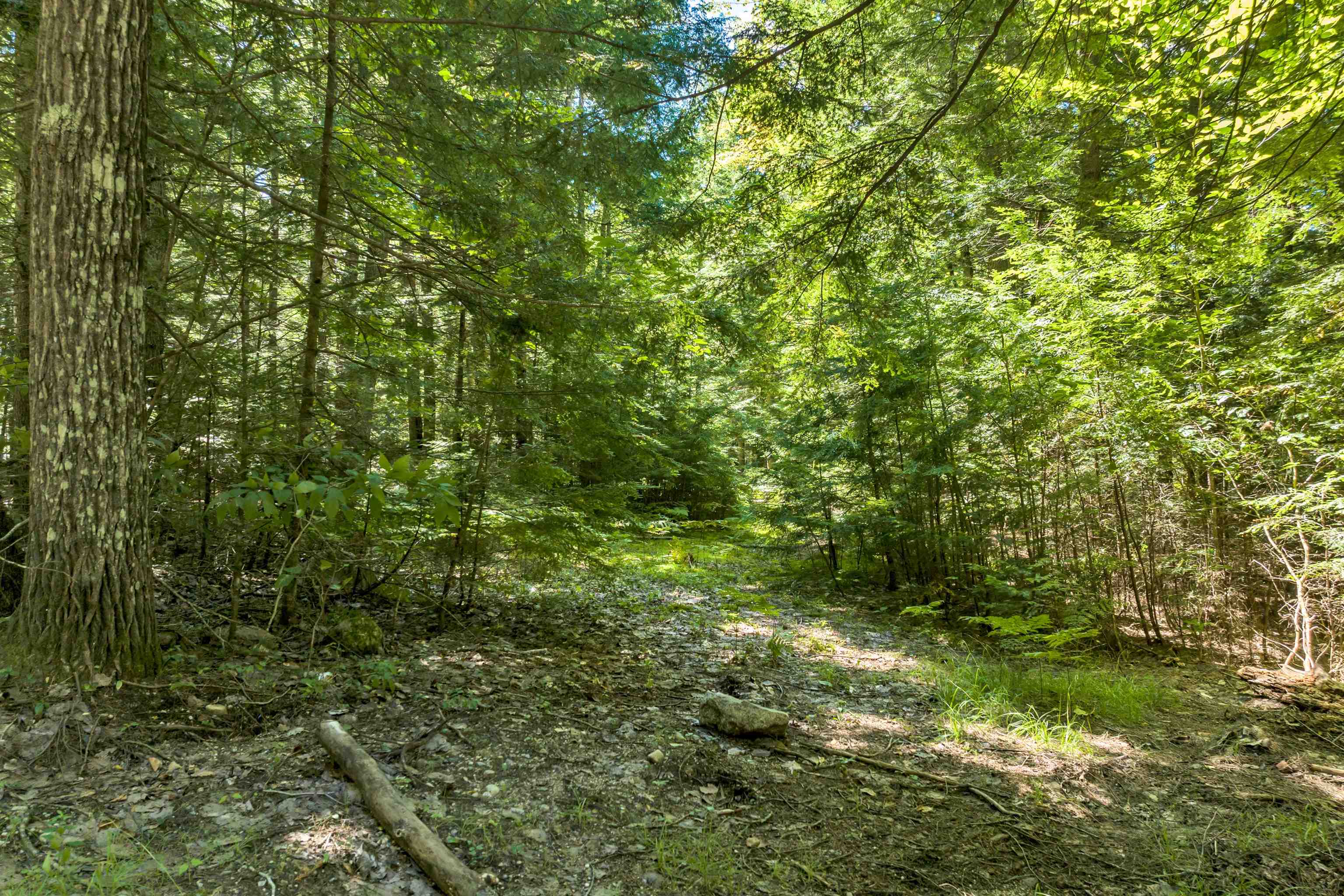 Wilkinson Swamp Road Effingham, NH 03882 - Photo 7 of 21