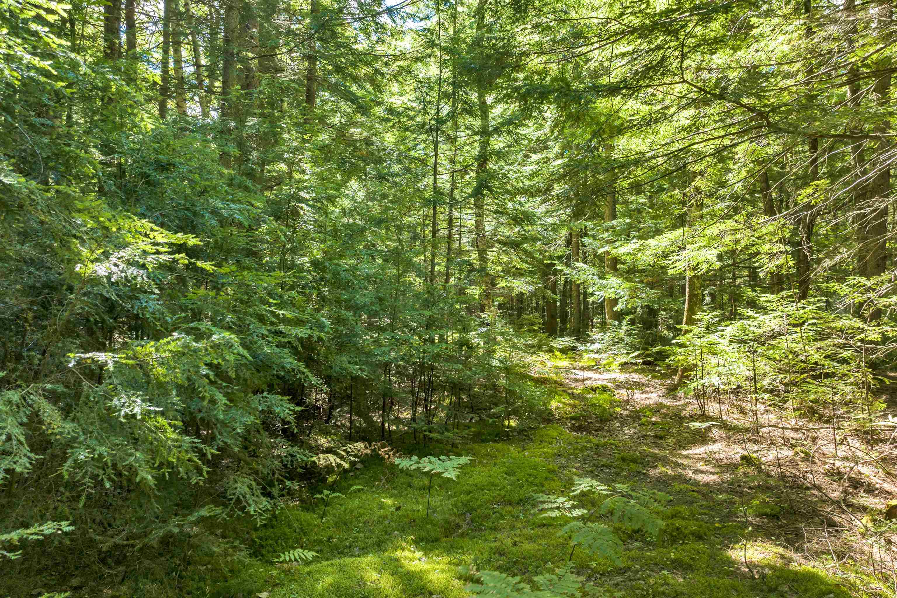 Wilkinson Swamp Road Effingham, NH 03882 - Photo 8 of 21