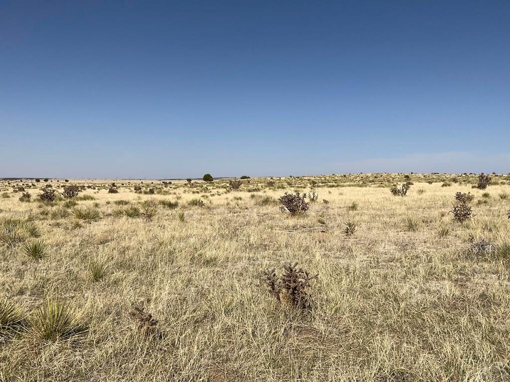 Lot 234 Turkey Ridge Ranch Walsenburg, CO 81089 - Photo 12 of 18