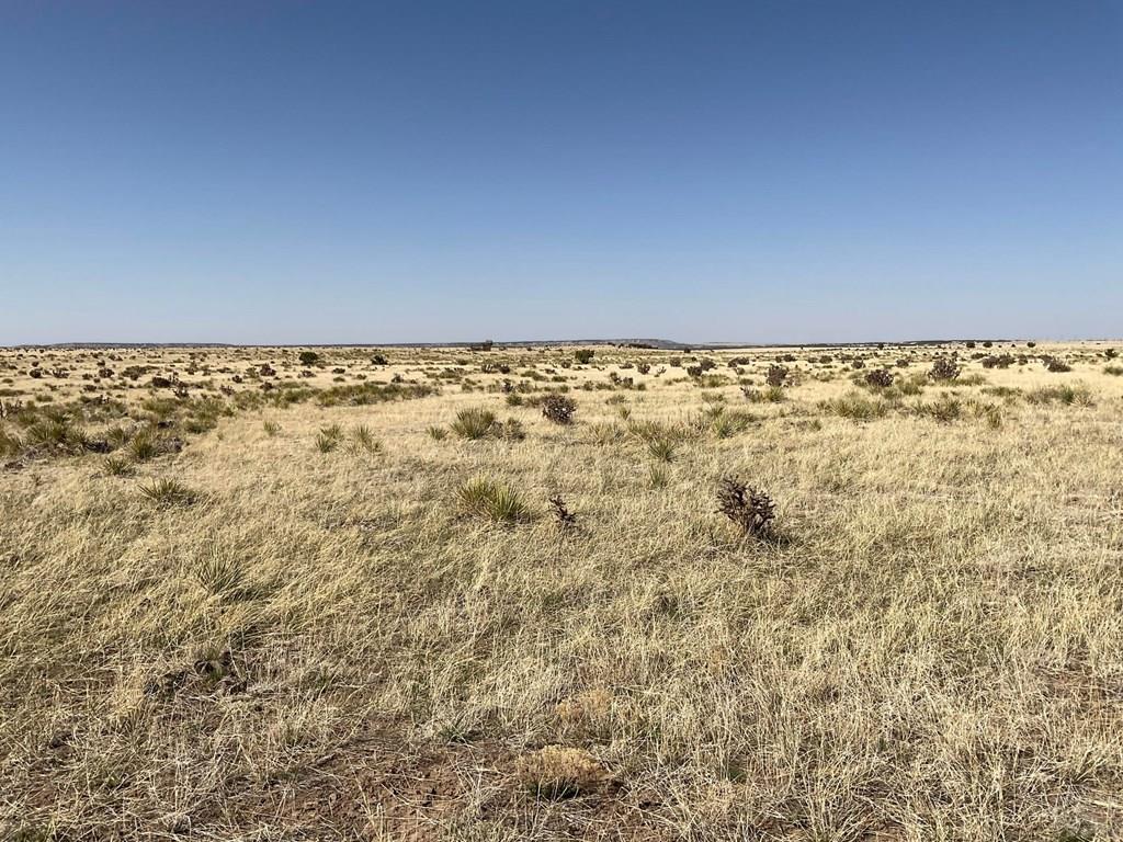 Lot 234 Turkey Ridge Ranch Walsenburg, CO 81089 - Photo 15 of 18