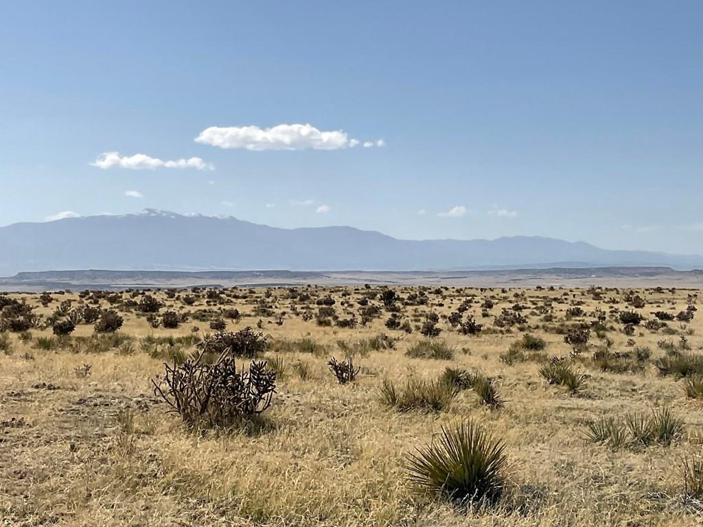 Lot 234 Turkey Ridge Ranch Walsenburg, CO 81089 - Photo 4 of 18 a view of a city