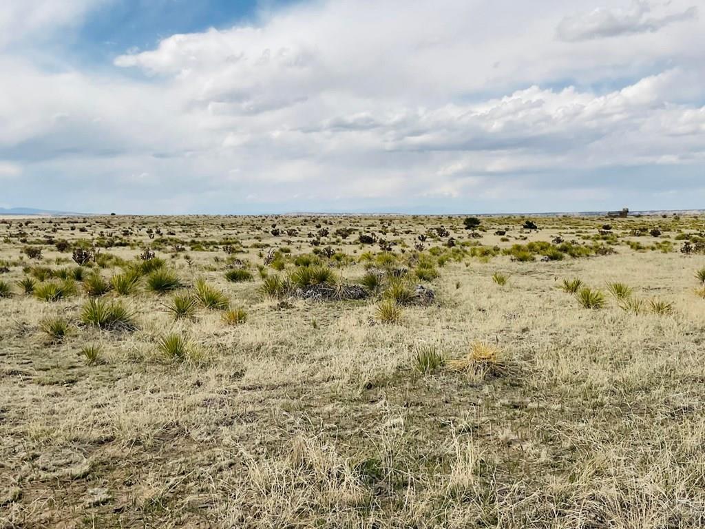 Lot 234 Turkey Ridge Ranch Walsenburg, CO 81089 - Photo 8 of 18 view of a field with lots of trees