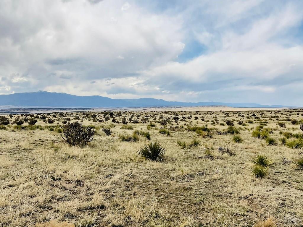 Lot 234 Turkey Ridge Ranch Walsenburg, CO 81089 - Photo 10 of 18 a view of an outdoor space