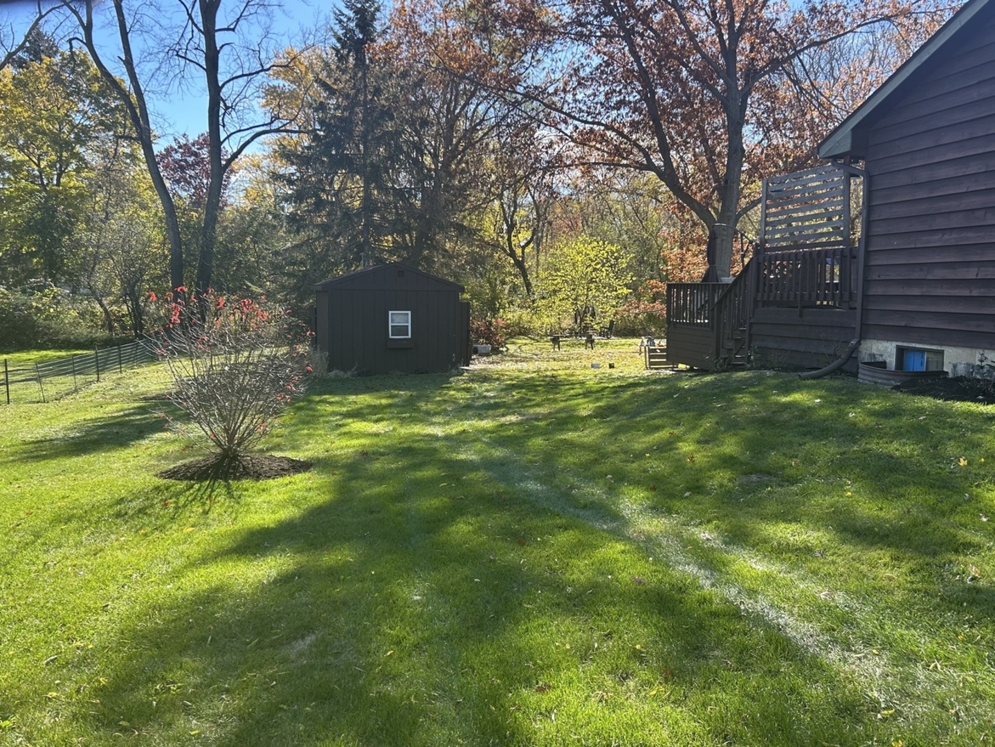 1403 West Beach Road Waukegan, IL 60087 - Photo 8 of 59 a view of a tree in a yard