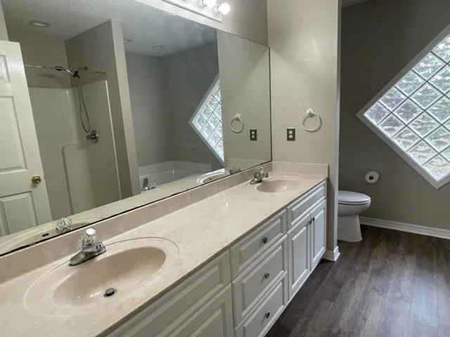 a bathroom with a double vanity sink mirror and toilet