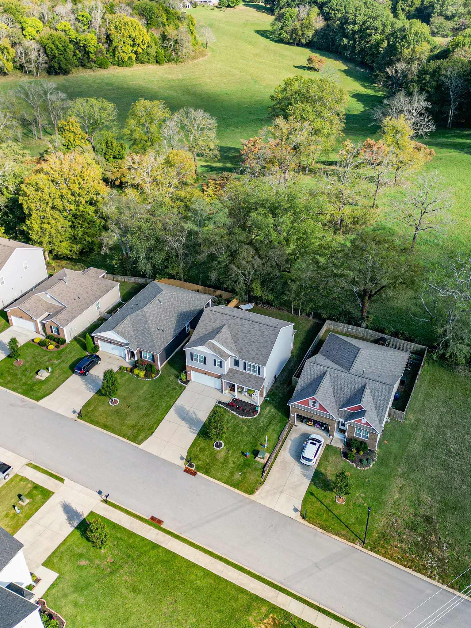 742 Prominence Road Columbia, TN 38401 - Photo 33 of 33 an aerial view of residential house with outdoor space