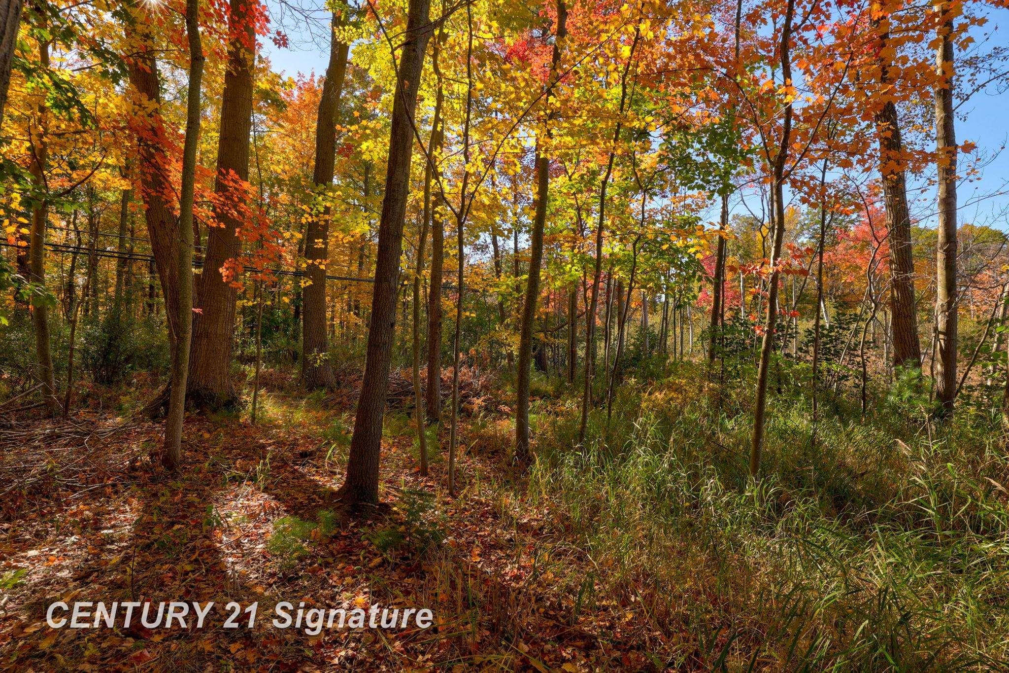 V/l Port Austin Road Caseville, MI 48725 - Photo 21 of 25