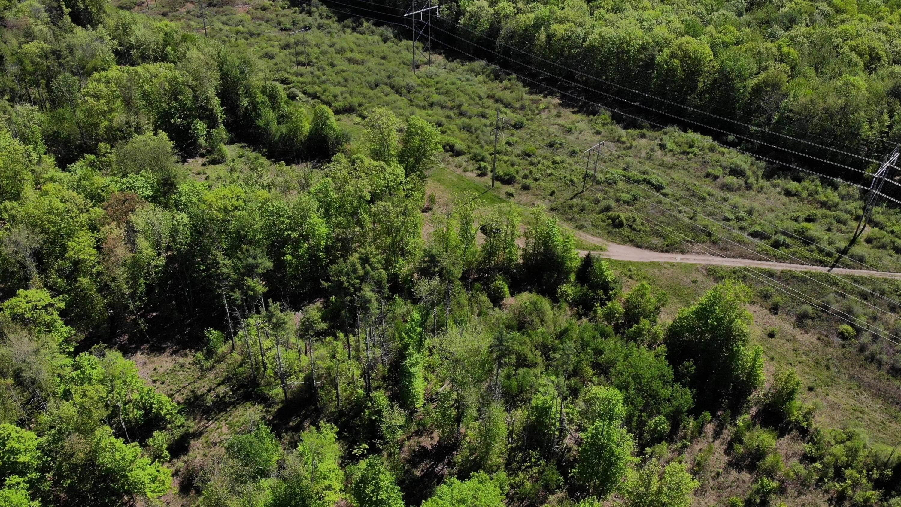 250 Drews Mills Road Biddeford, ME 04005 - Photo 20 of 28 DJI_0136 - frame at 1m24s