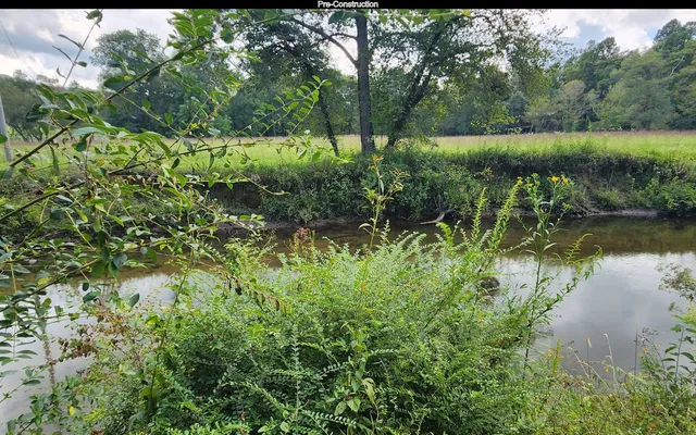 a view of a garden with a lake