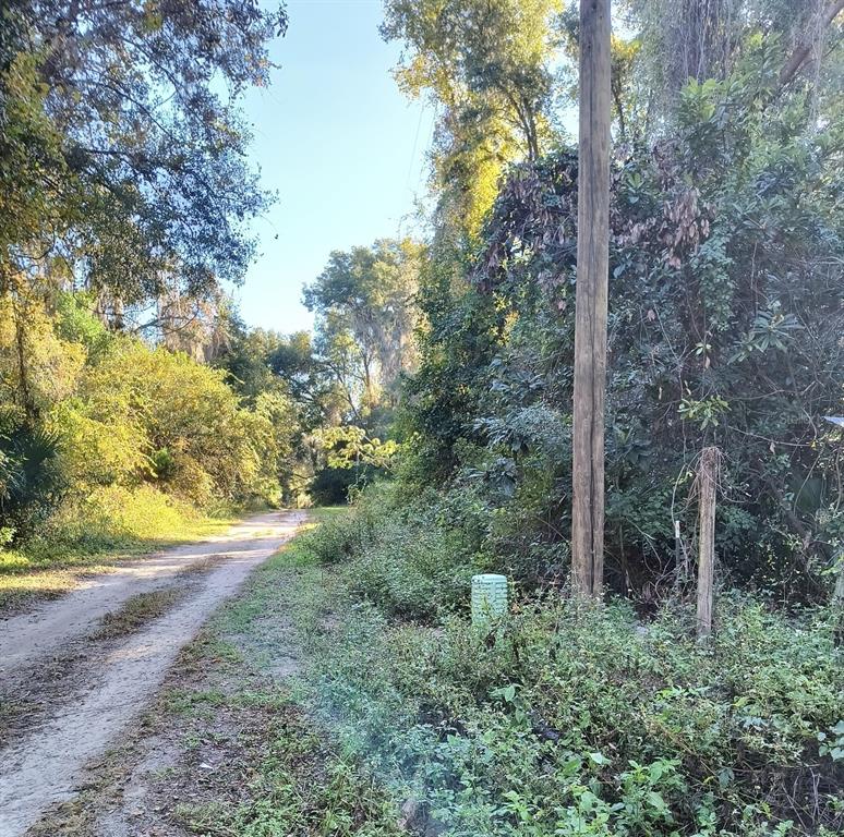 3240 Northeast 167th Street Citra, FL 32113 - Photo 3 of 17