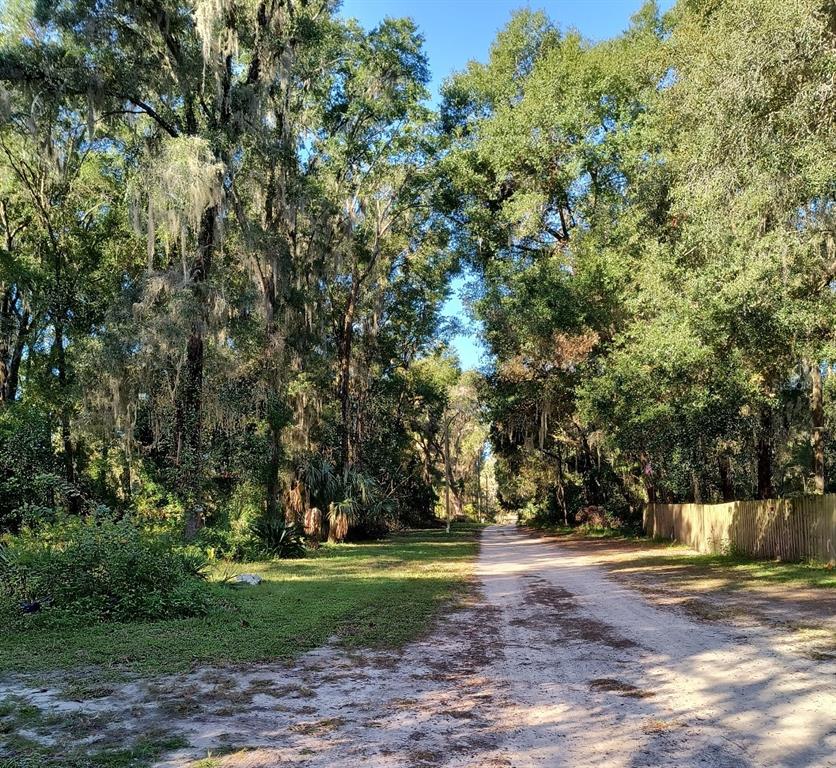 3240 Northeast 167th Street Citra, FL 32113 - Photo 5 of 17