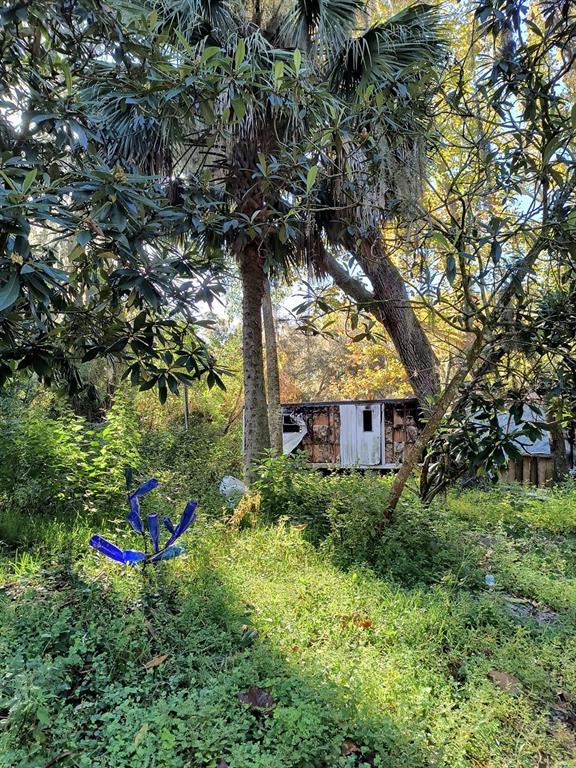 3240 Northeast 167th Street Citra, FL 32113 - Photo 6 of 17