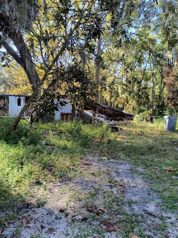 3240 Northeast 167th Street Citra, FL 32113 - Photo 7 of 17