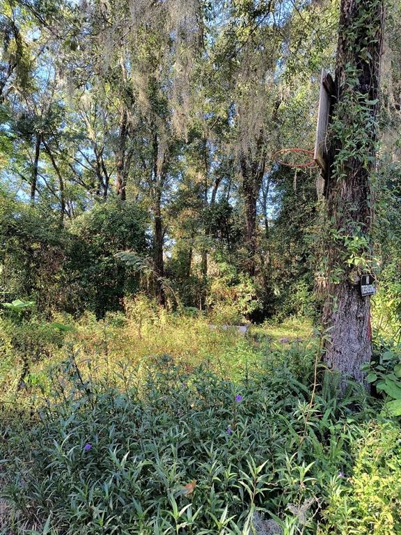 3240 Northeast 167th Street Citra, FL 32113 - Photo 8 of 17